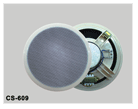 Vݰ޹˾:CS-609